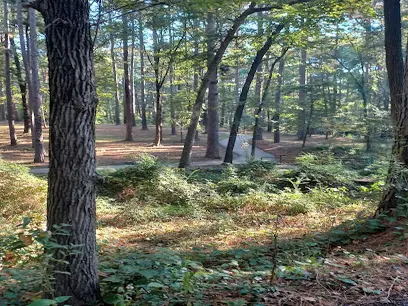Everett Park